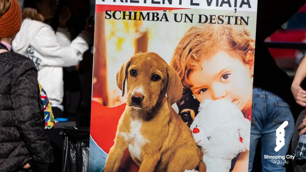 Ruby, Noaptea Târziu și Niculina Stoican au participat la cel mai mare gest umanitar al anului! Pentru ce au militat artiștii?!