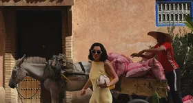 Galerie foto - poza 1