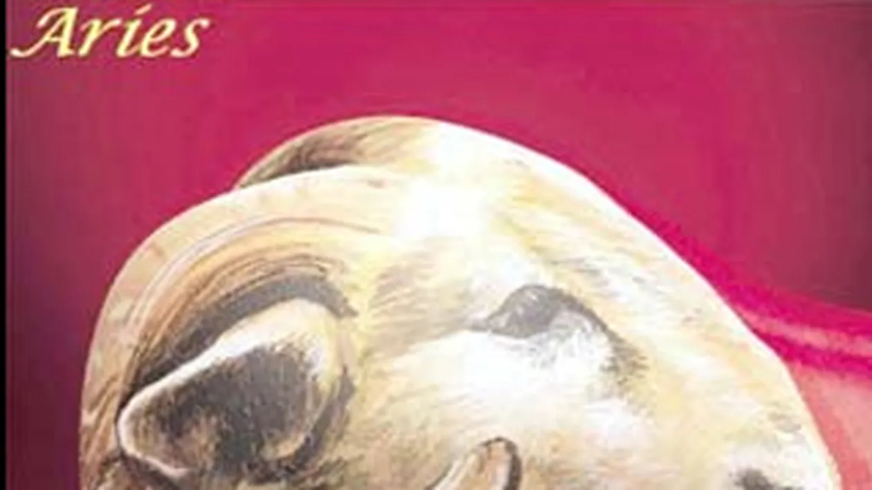 Astrele iti spun ce fel de casnicie vei avea, in functie de zodie