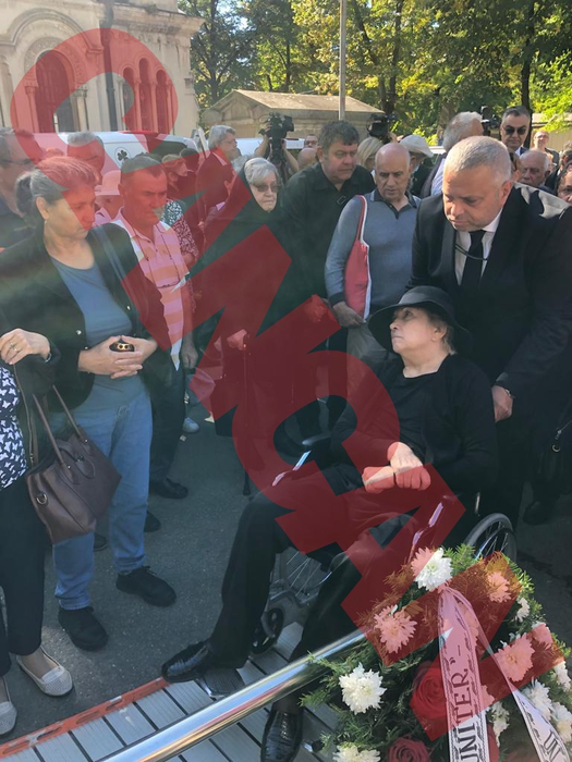 Imaginile durerii la înmormântarea lui Alexandru Arșinel. Soția, în scaunul cu rotile (Foto: CANCAN.RO)