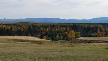 Ce a făcut un primar din Iași! Până și străinii vor să se mute acolo, comparând zona cu una din Austria