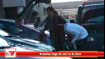 Brandan trage de saci ca de fiare