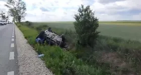 Galerie foto - poza 4