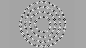 TEST IQ | Câte cercuri sunt, de fapt, în această imagine? E mai simplu decât pare!