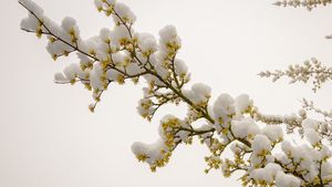 Prognoza meteo 21 martie: Vreme deosebit de rece în toată țara