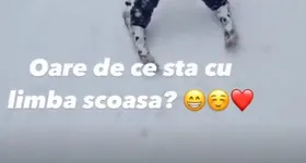 Galerie foto - poza 2