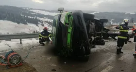 Galerie foto - poza 2