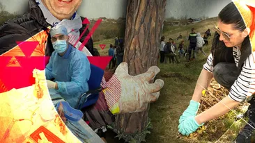 Povestea stomatologului care a plantat peste noapte o pădure întreagă