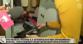 Galerie foto - poza 2