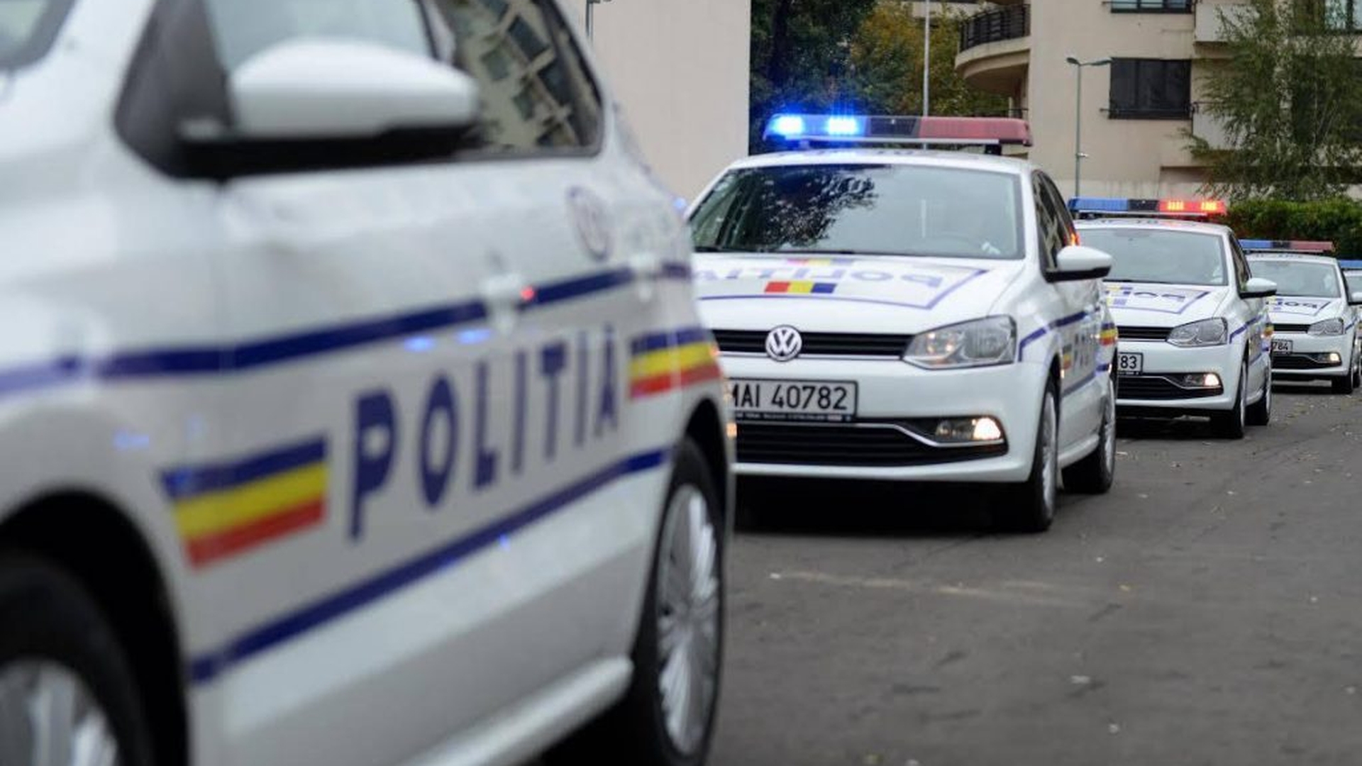 Descoperire șocantă într-o garsonieră din Gorj! Proprietarul a găsit oase umane sub cadă