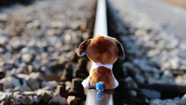 Un nou caz de bullying, de data aceasta la Deva. Tânără umilită în școală fără ca cineva să intervină. VIDEO