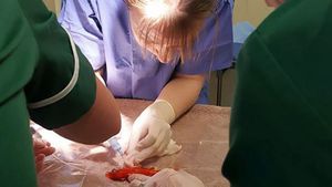 Această familie şi-a dus de urgenţă peştişorul auriu pe care-l aveau de 20 de ani pentru a fi operat. Imediat, povestea a făcut înconjurul planetei