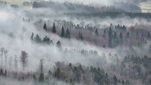 România, lovită de un val de aer polar! Ninsori, ger și vijelii în mai multe județe din țară