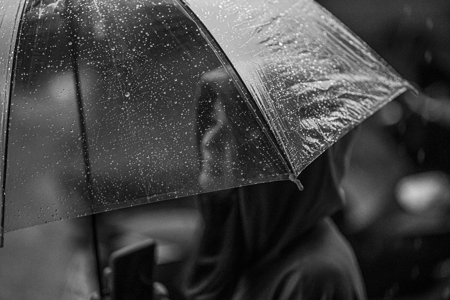 Ploi/ Sursa foto: Pexels