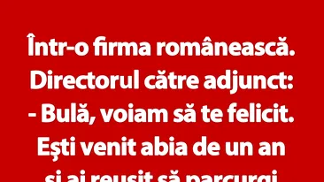 BANC | Bulă și directorul