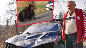 El este șoferul care a lovit ursul, lăsat să agonizeze 18 ore. Drama neștiută a bărbatului
