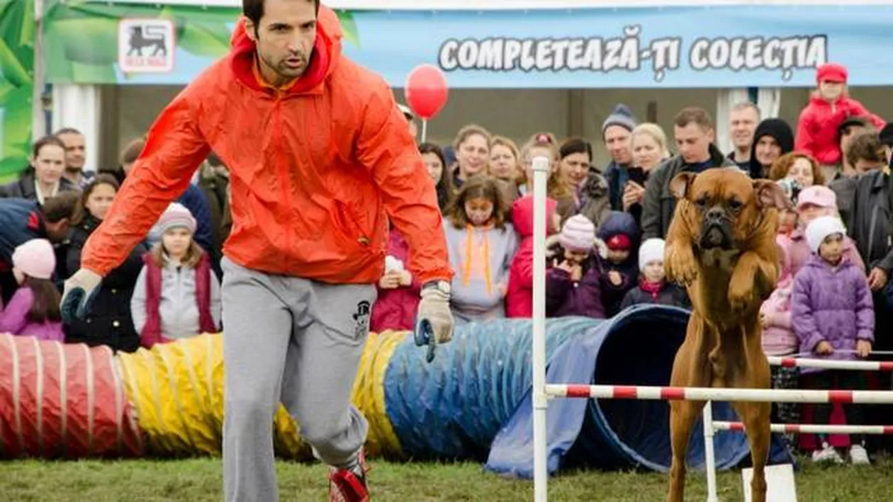 Tudy, fostul amant al Oanei Zavoranu, a ajuns la munca de jos! Uite ce transpira cu roaba in mana!