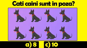 Testul IQ la care 8 din 10 greșesc | Câți câini sunt în această poză: 8, 9, 10 sau 11?