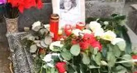 Galerie foto - poza 1