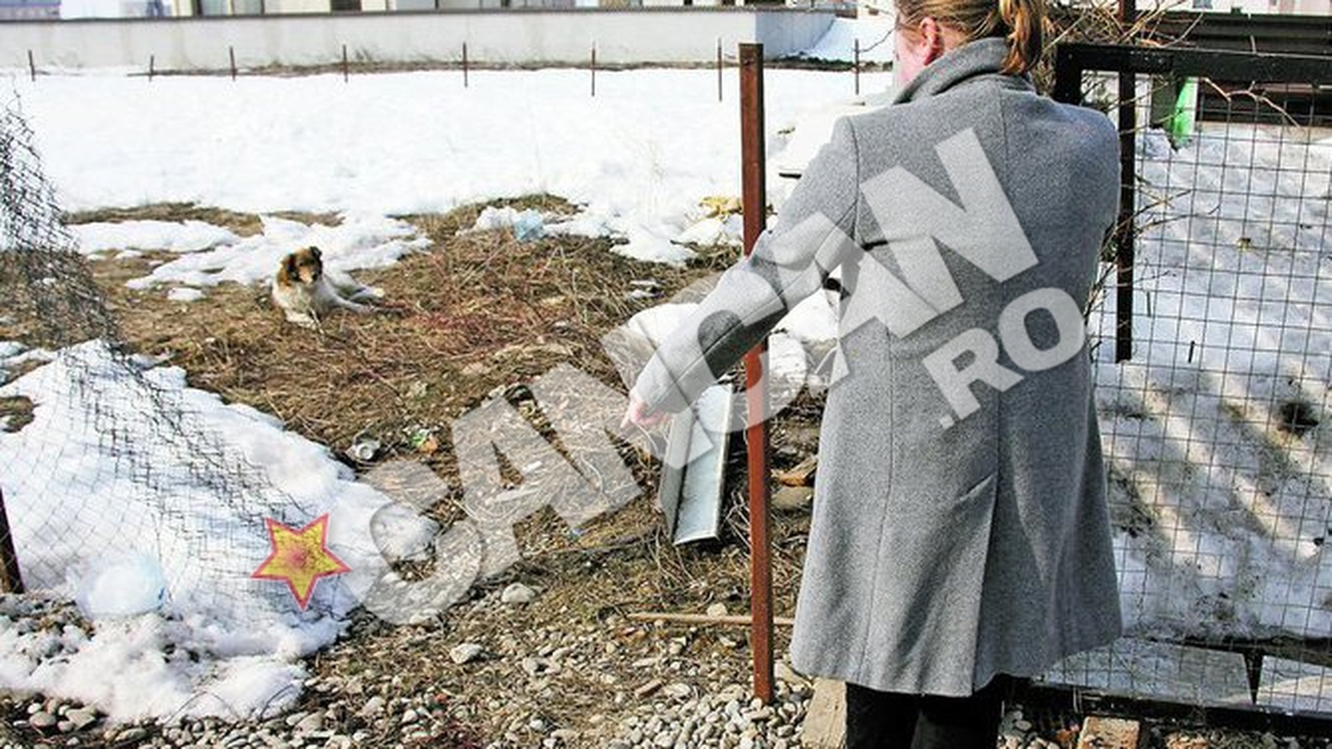 La sapte ani dupa ce a impuscat un barbat, Adrian Iovan este din nou implicat intr-un scandal cu arme de foc! Acuzat ca a ucis un caine