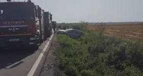 Galerie foto - poza 4