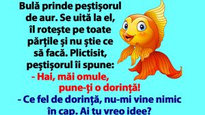 BANC | Bulă prinde peștișorul de aur: "Hai, măi omule, pune-ți o dorință!"