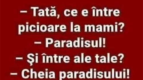 BANCUL ZILEI | "Tati, ce e între picioare la mami?"