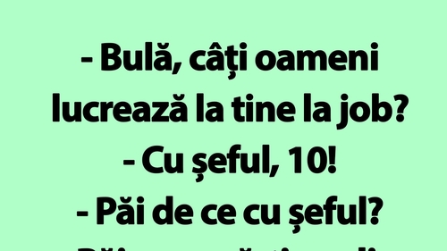 BANC | "Bulă, câți oameni lucrează la tine la job?"