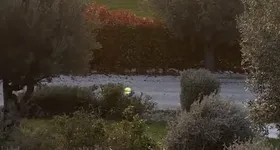 Galerie foto - poza 3