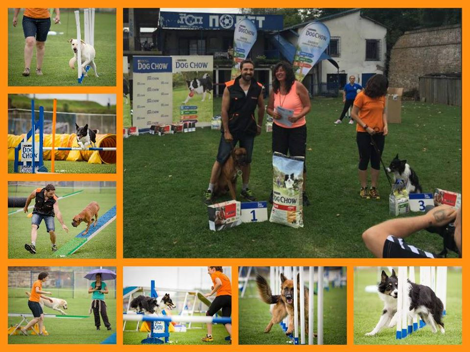 Skip a luat locul 1 la câteva competiții canine