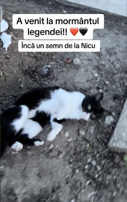 Cum arată mormântul lui Nicu Covaci, la 2 luni de la moartea sa. Ce a apărut lângă cruce: „Tu, dar cum ai venit…”