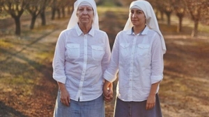 Magazin online cu remedii naturale pe bază de canabis, ameninţat cu închiderea. Afacerea aparţine unor calugăriţe! 