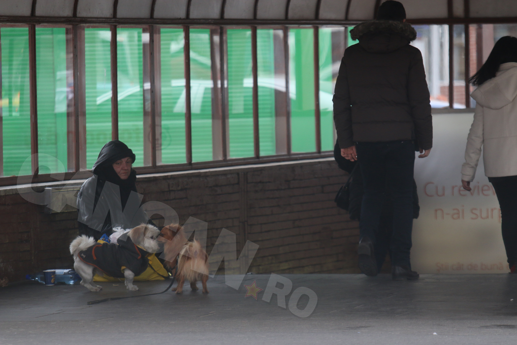 ”Din banii aceştia, plătesc…” Cerşetoarea de la metrou a recunoscut cât câştigă în fiecare zi