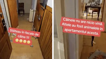 IREAL! Ce-a putut să găsească un proprietar din Capitală în apartamentul pe care îl închiriase unui cuplu