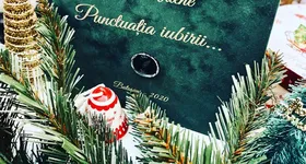 Galerie foto - poza 2