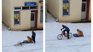 Imagini emoționante filmate în România. Dragostea nu cunoaște limite! Un câine este tras de un copil pe bicicletă. VIDEO