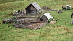 Doi copii din Vaslui, dispăruţi de 6 zile. Au plecat de la o stână şi nu s-au mai întors