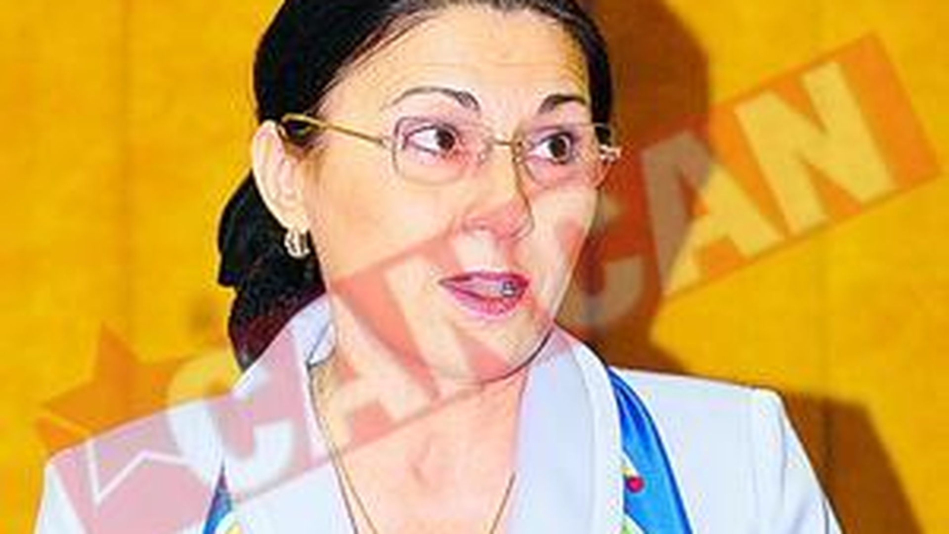 Ecaterina Andronescu nu-si da demisia