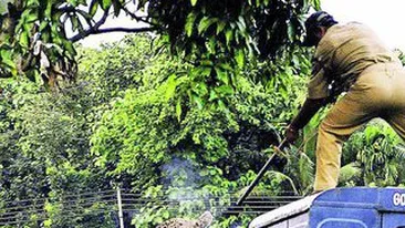 Un leopard a bagat groaza in localnici