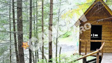 Un francez pozeaza animale la Timisu de Sus. Ursii din Romania, oferta pentru turisti