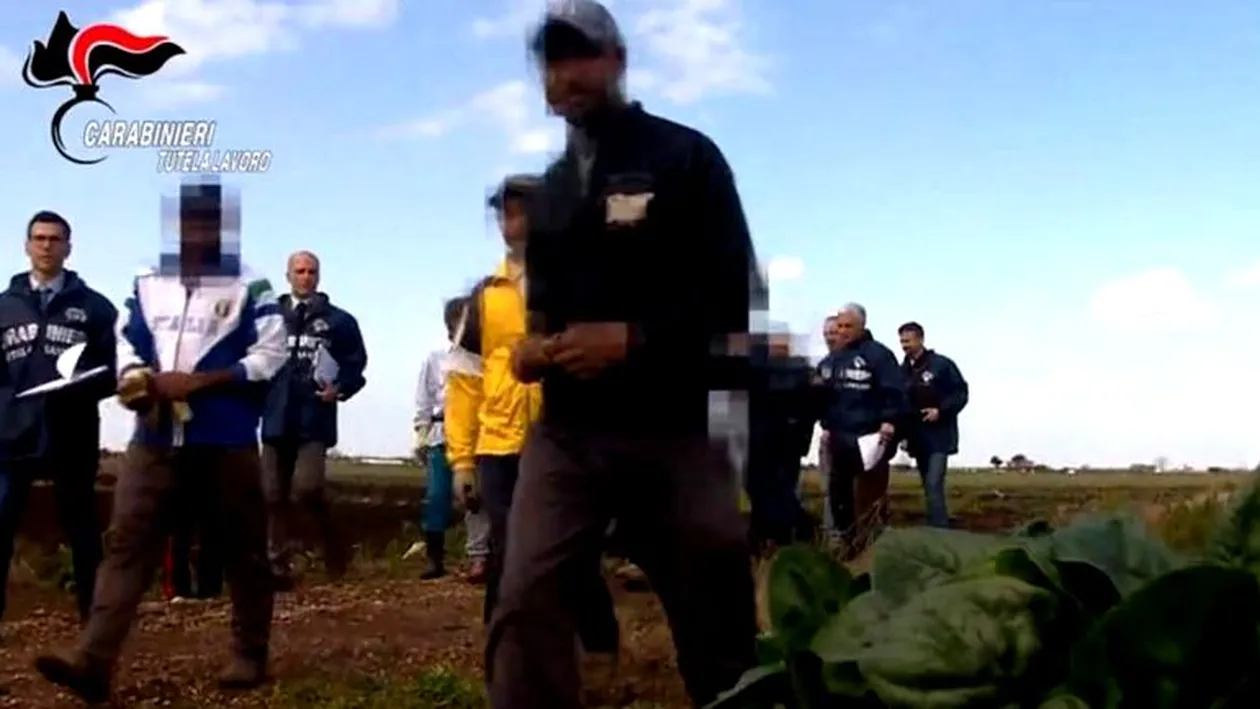 Coșmarul unei românce care a fost exploatată la muncă în Italia: ”Dacă aș fi știut că asta e viața în Italia, nu aș fi venit”