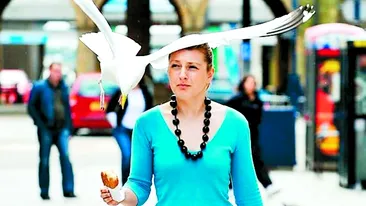 Atacata ca in Pasarile lui Hitchcock