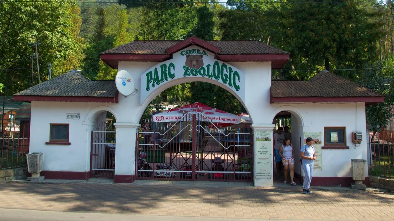 Grădina Zoologică din Piatra Neamț se va desființa. Ce spun locuitorii orașului