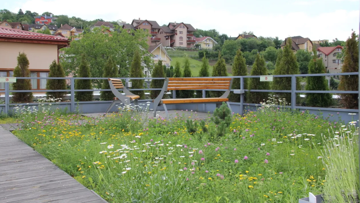Acoperișuri verzi: Oaze urbane pentru un viitor sustenabil