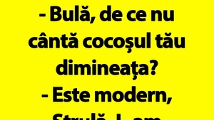 BANC | Cocoșul modern al lui Bulă