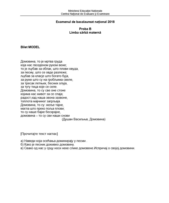 Bacalaureat 2019. Cum se rezolvă subiectele la limba și literatura maternă oral