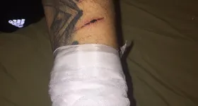 Galerie foto - poza 2