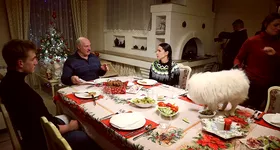 Galerie foto - poza 3