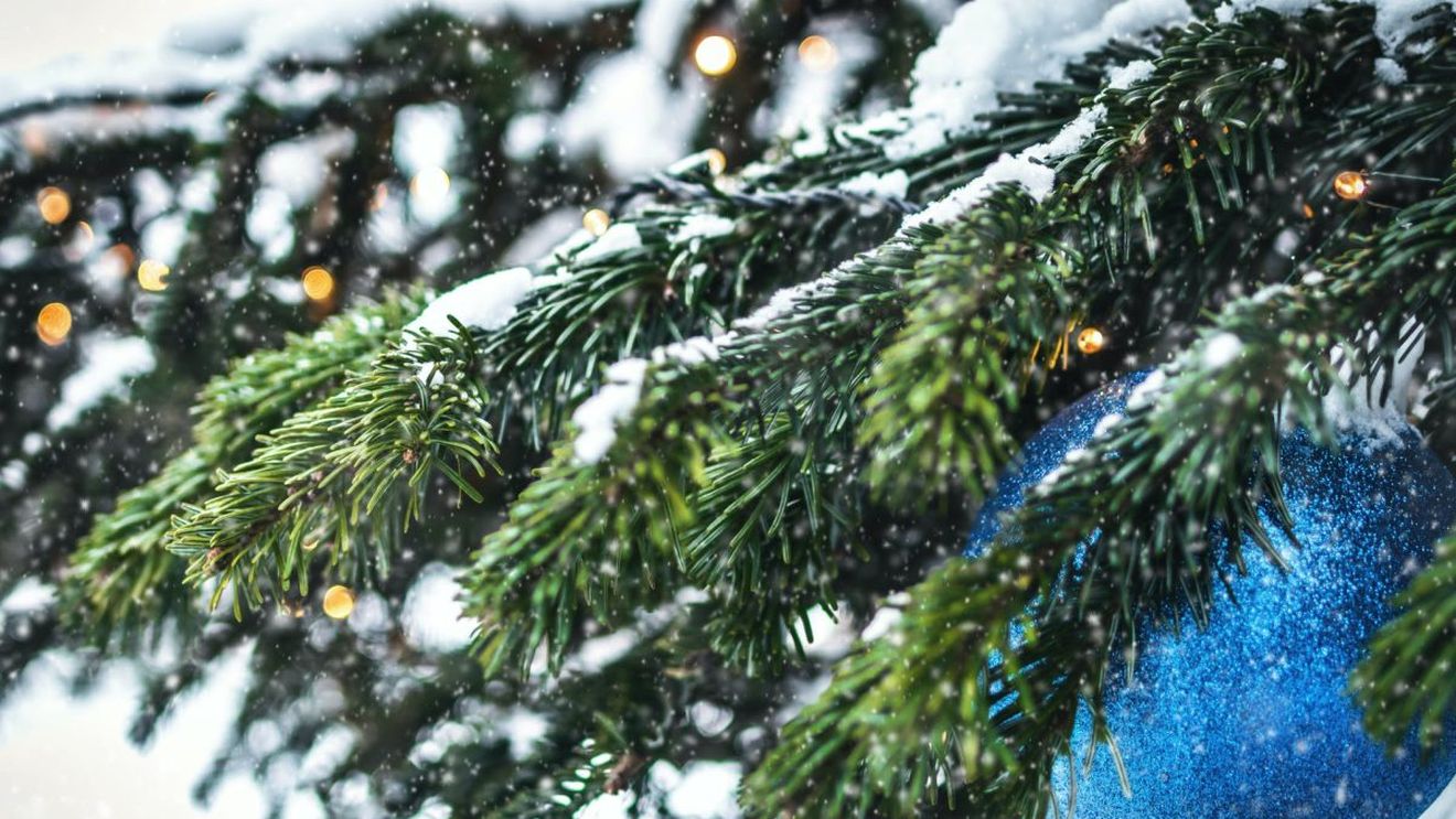 Horoscop lunar. Previziuni pentru luna decembrie 2021