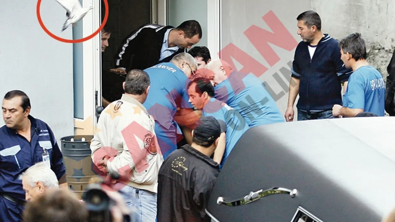 Adrian Paunescu si-a gasit linistea! Vegheat de un porumbel alb!